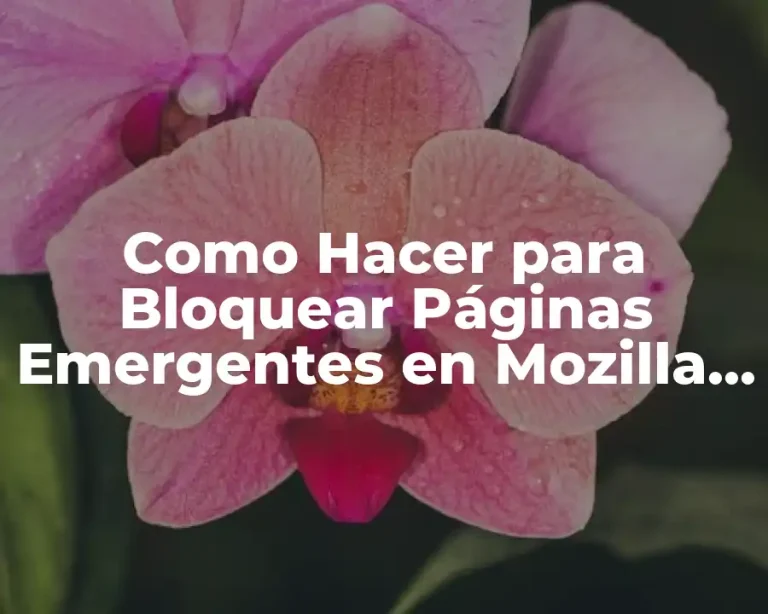 Como Hacer para Bloquear Páginas Emergentes en Mozilla Firefox