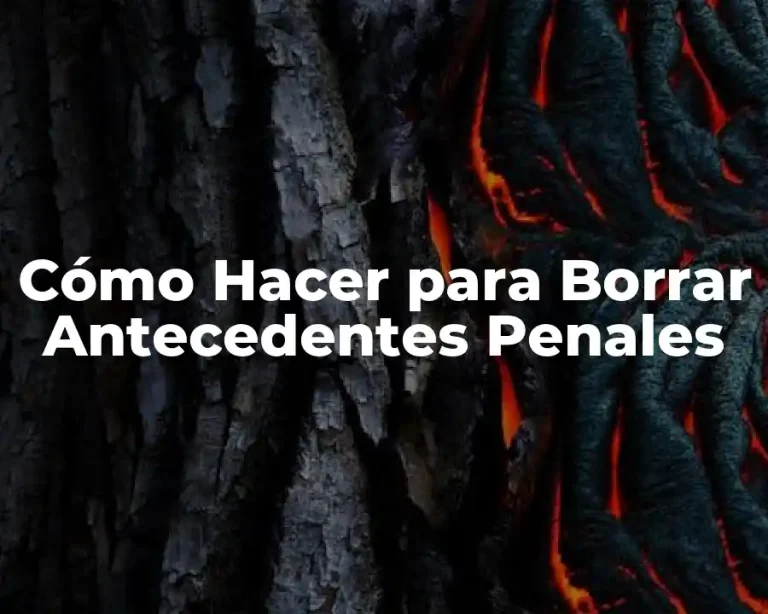 Cómo Hacer para Borrar Antecedentes Penales