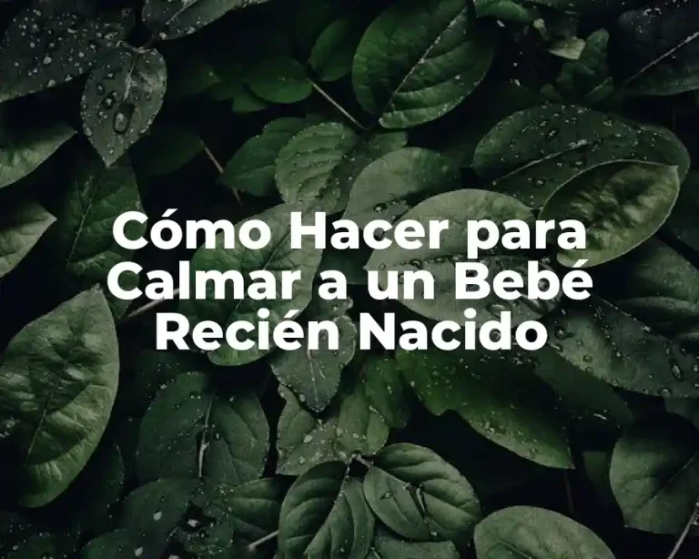 Cómo Hacer para Calmar a un Bebé Recién Nacido