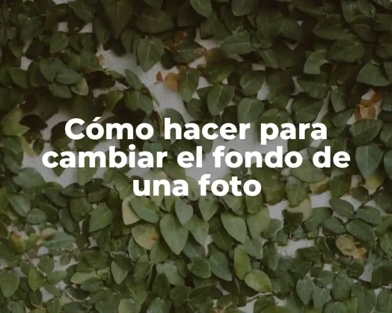 Cómo hacer para cambiar el fondo de una foto