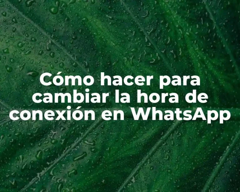 Cómo hacer para cambiar la hora de conexión en WhatsApp