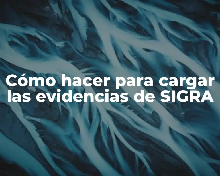 Cómo hacer para cargar las evidencias de SIGRA