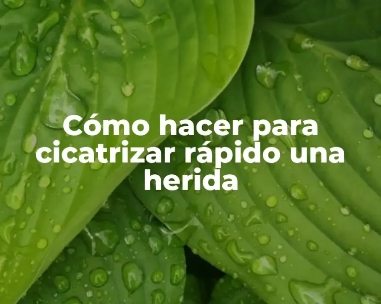 Cómo hacer para cicatrizar rápido una herida