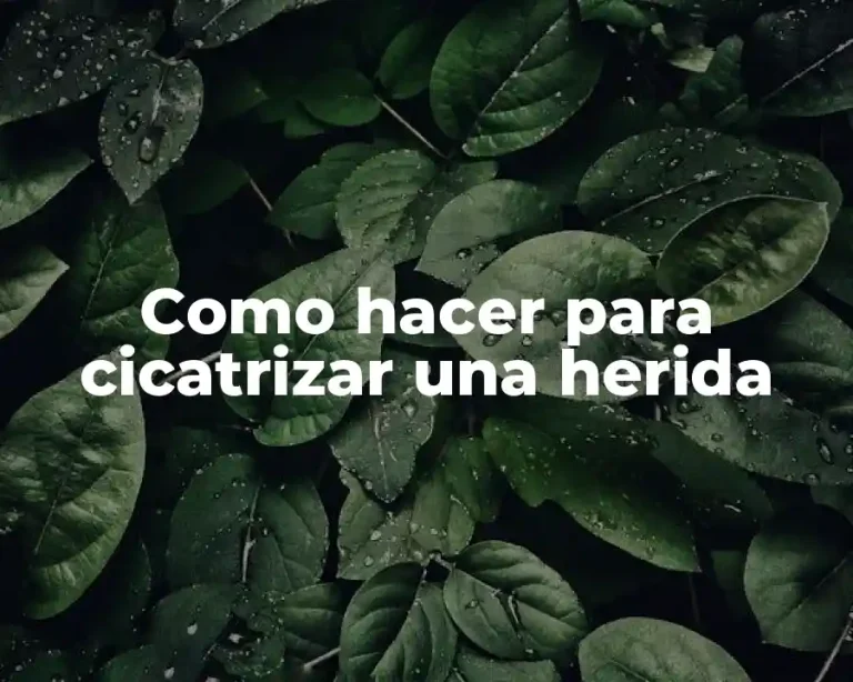 Como hacer para cicatrizar una herida
