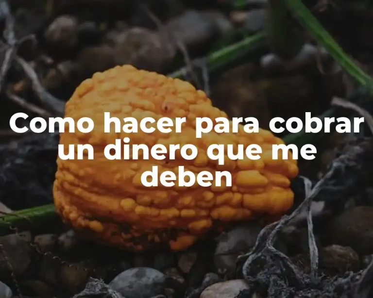 Como hacer para cobrar un dinero que me deben