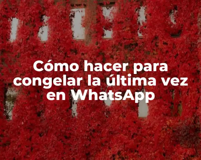Cómo hacer para congelar la última vez en WhatsApp