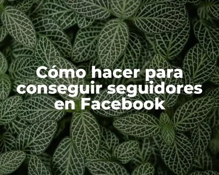 Cómo hacer para conseguir seguidores en Facebook
