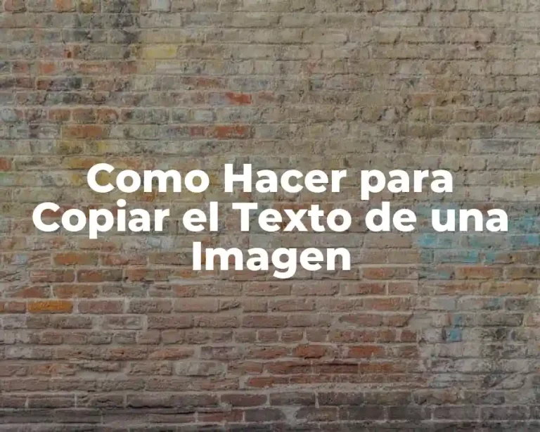 Como Hacer para Copiar el Texto de una Imagen