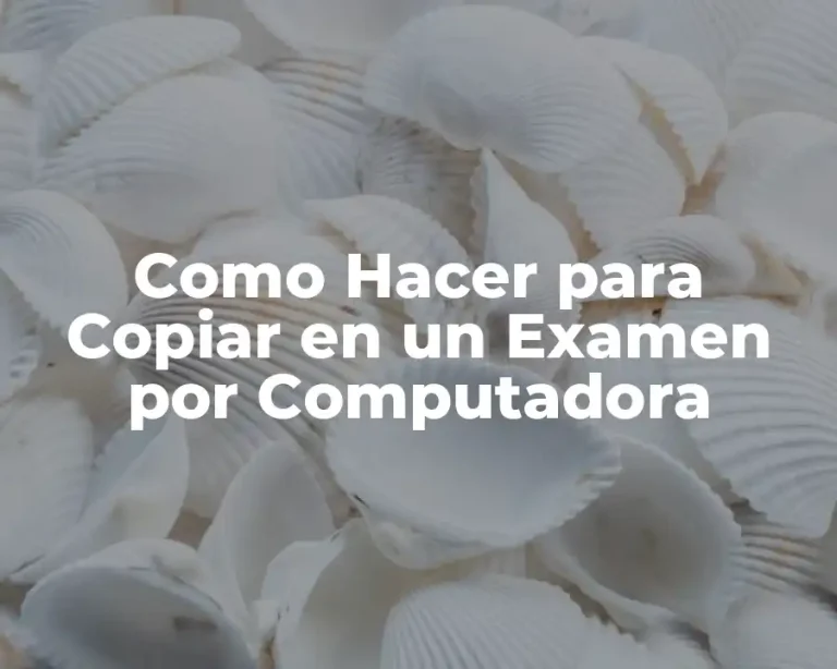Como Hacer para Copiar en un Examen por Computadora