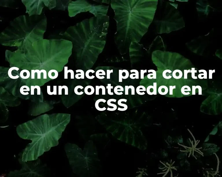 Como hacer para cortar en un contenedor en CSS