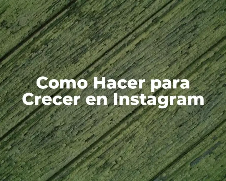 Como Hacer para Crecer en Instagram