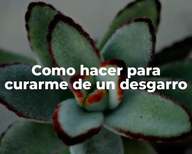 Como hacer para curarme de un desgarro