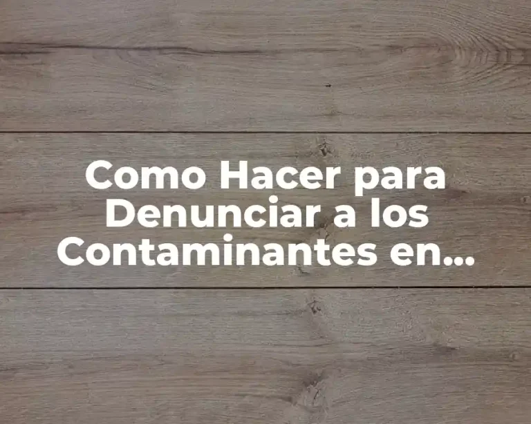 Como Hacer para Denunciar a los Contaminantes en Paraguay