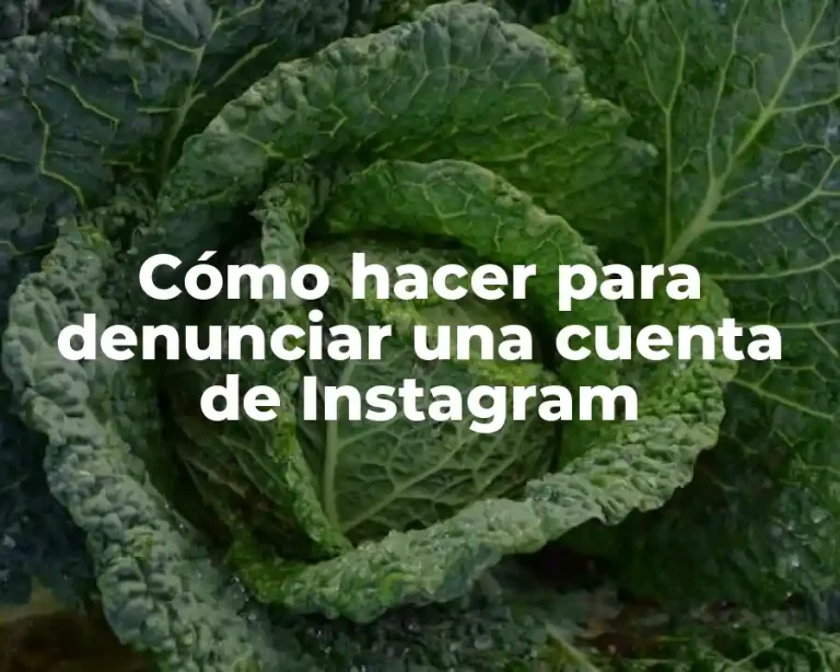 Cómo hacer para denunciar una cuenta de Instagram