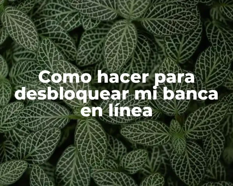 Como hacer para desbloquear mi banca en línea