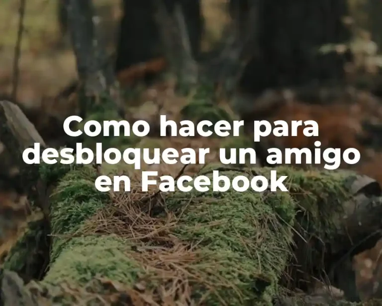 Como hacer para desbloquear un amigo en Facebook