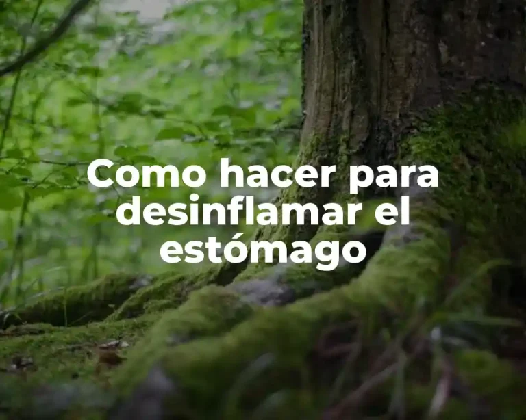 Como hacer para desinflamar el estómago
