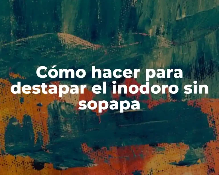 Cómo hacer para destapar el inodoro sin sopapa