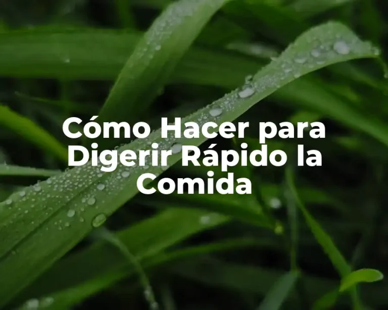 Cómo Hacer para Digerir Rápido la Comida