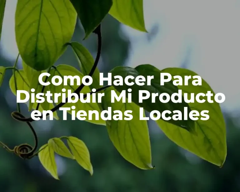 Como Hacer Para Distribuir Mi Producto en Tiendas Locales