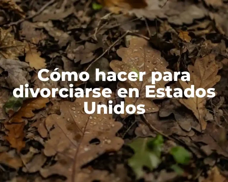 Cómo hacer para divorciarse en Estados Unidos