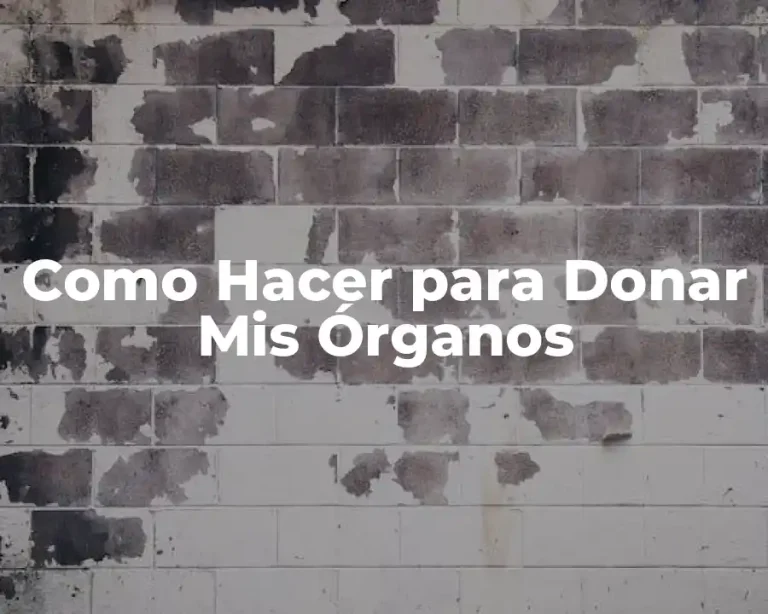 Como Hacer para Donar Mis Órganos