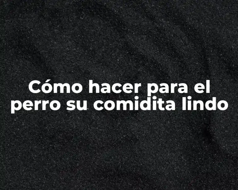 Cómo hacer para el perro su comidita lindo