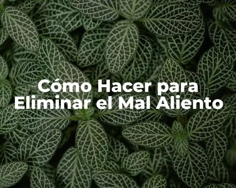 Cómo Hacer para Eliminar el Mal Aliento