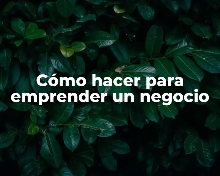 Cómo hacer para emprender un negocio