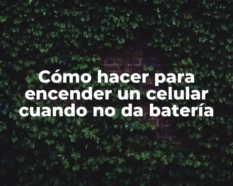 Cómo hacer para encender un celular cuando no da batería