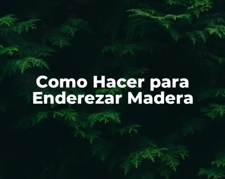 Como Hacer para Enderezar Madera