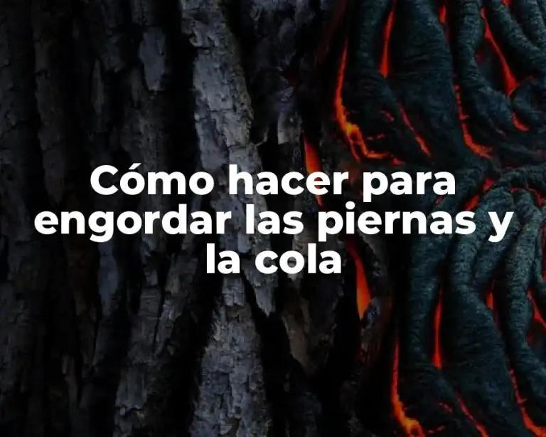 Cómo hacer para engordar las piernas y la cola