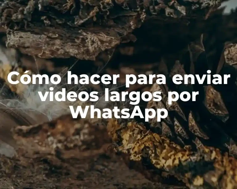 Cómo hacer para enviar videos largos por WhatsApp