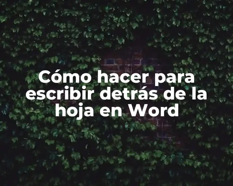 Cómo hacer para escribir detrás de la hoja en Word