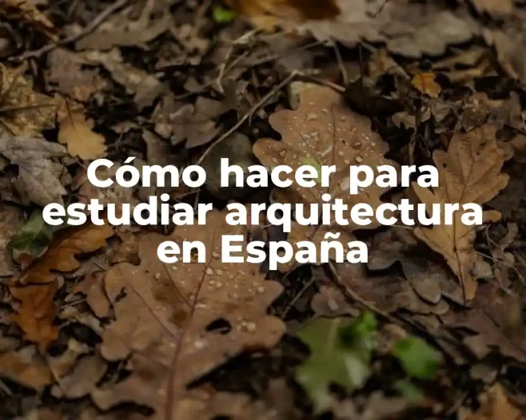 Cómo hacer para estudiar arquitectura en España