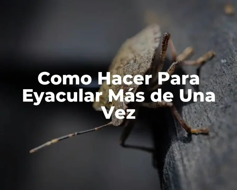 Como Hacer Para Eyacular Más de Una Vez