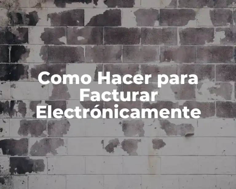 Como Hacer para Facturar Electrónicamente