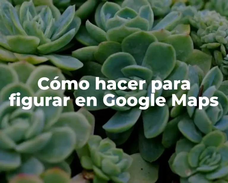 Cómo hacer para figurar en Google Maps