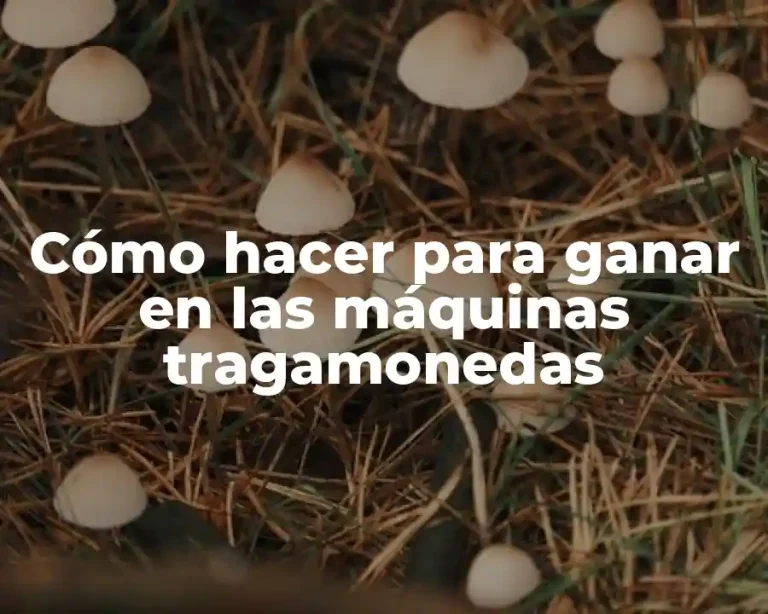 Cómo hacer para ganar en las máquinas tragamonedas