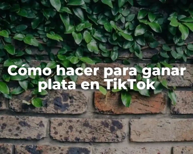 Cómo hacer para ganar plata en TikTok