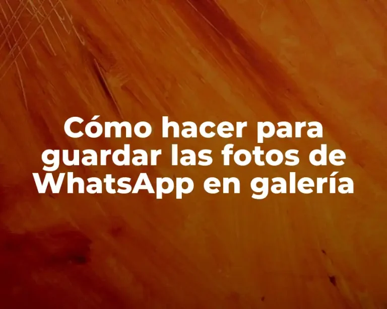 Cómo hacer para guardar las fotos de WhatsApp en galería