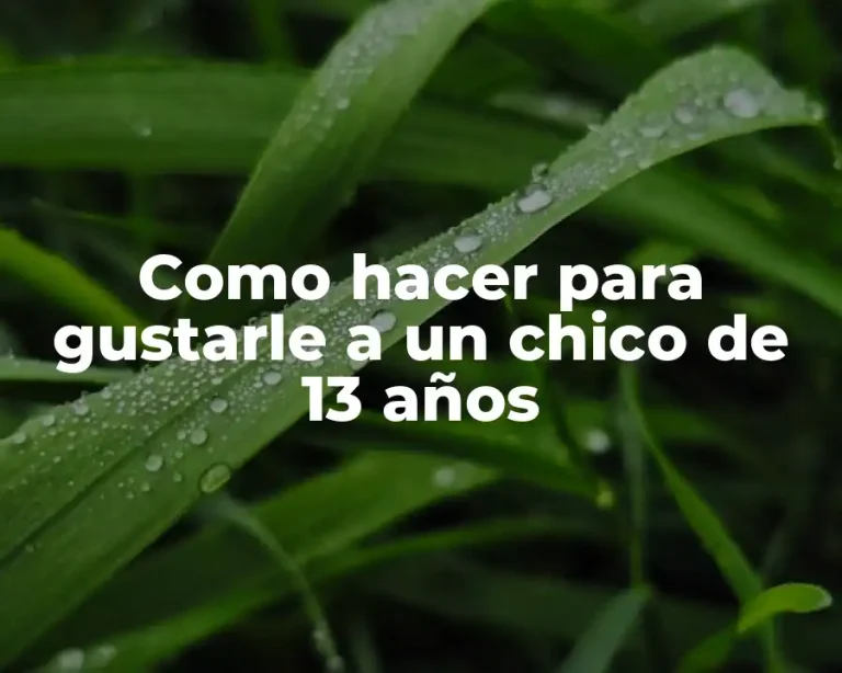 Como hacer para gustarle a un chico de 13 años