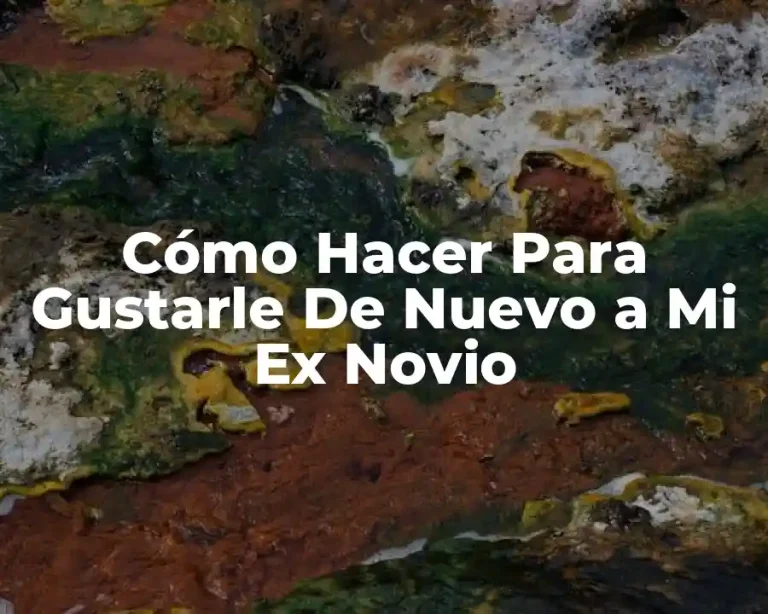 Cómo Hacer Para Gustarle De Nuevo a Mi Ex Novio