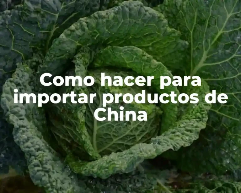 Como hacer para importar productos de China