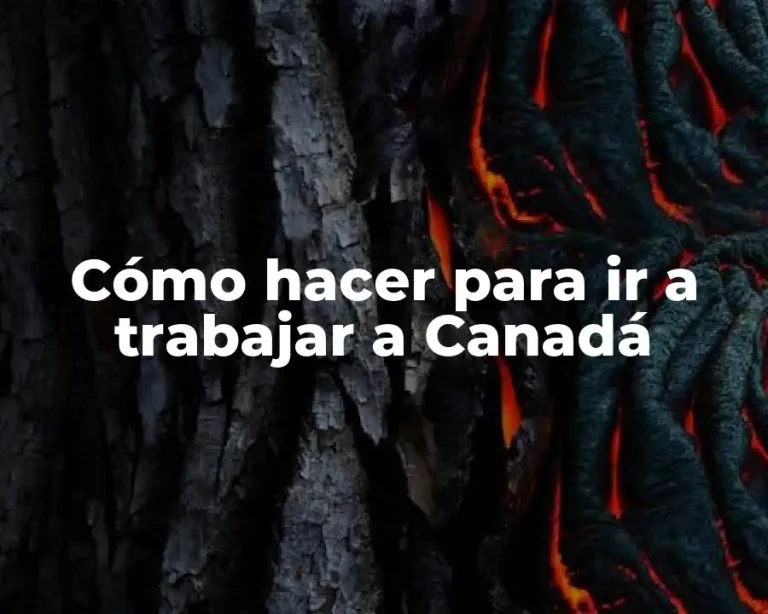 Cómo hacer para ir a trabajar a Canadá