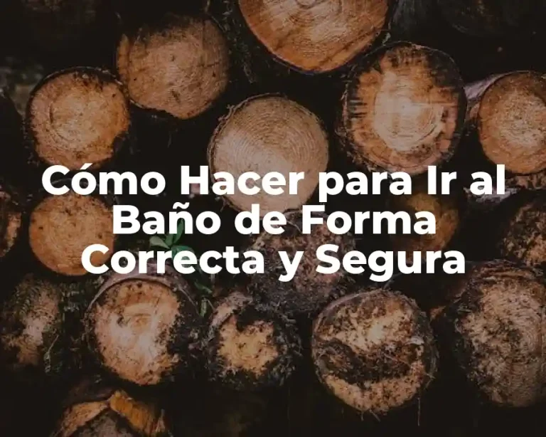 Cómo Hacer para Ir al Baño de Forma Correcta y Segura