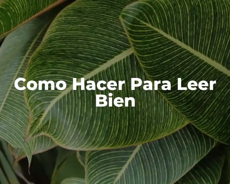 Como Hacer Para Leer Bien