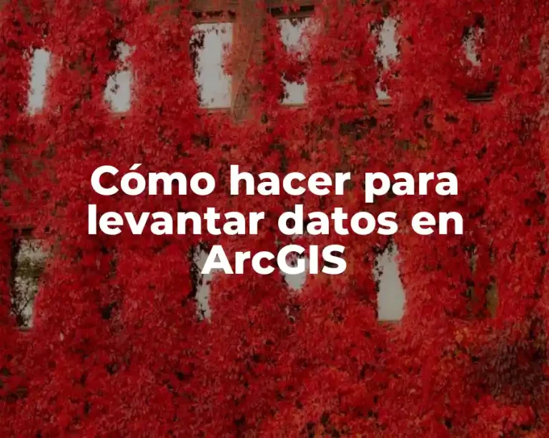 Cómo hacer para levantar datos en ArcGIS