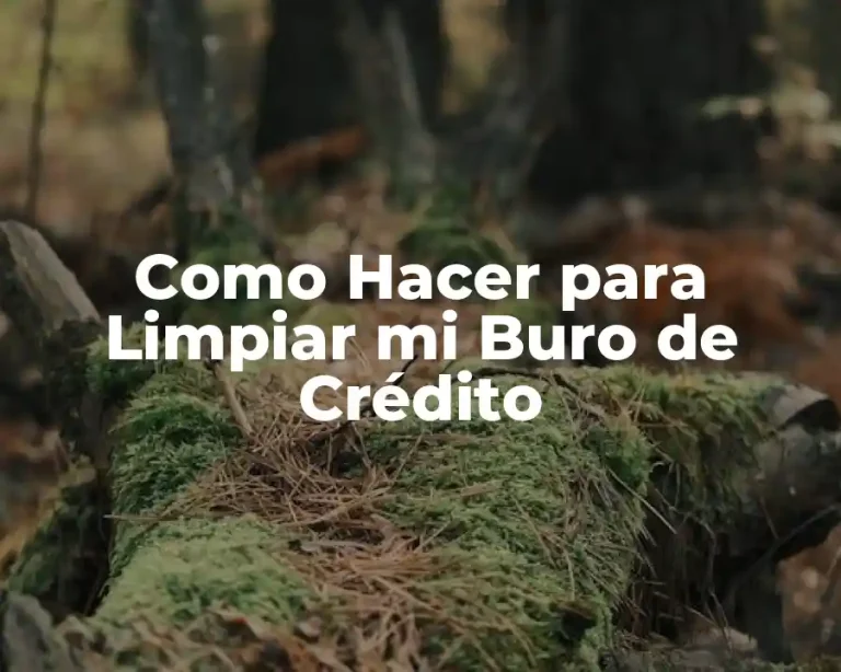 Como Hacer para Limpiar mi Buro de Crédito