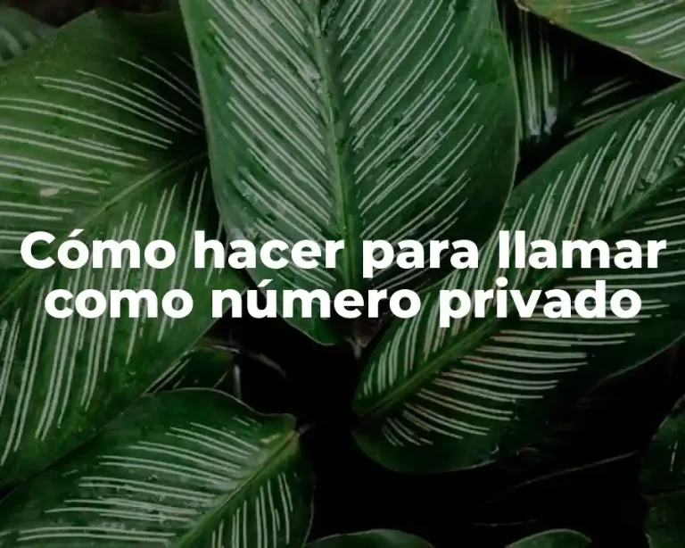 Cómo hacer para llamar como número privado